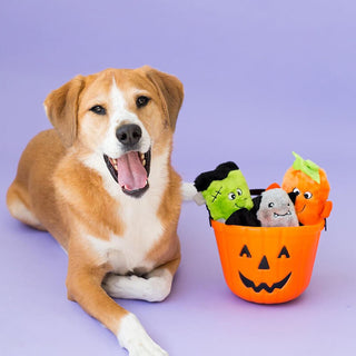 Zippy Paws Halloween Colossal Buddies 3-Pack