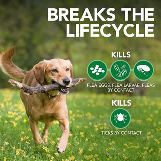 Vet's Best Advanced Strength Flea + Tick Shampoo for Dogs