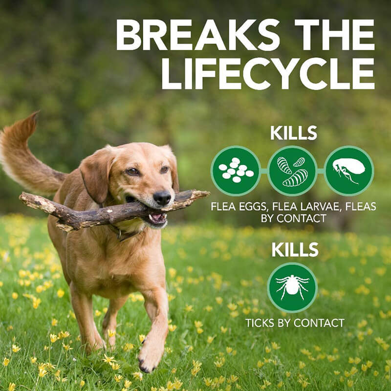 Vet's Best Advanced Strength Flea + Tick Shampoo for Dogs