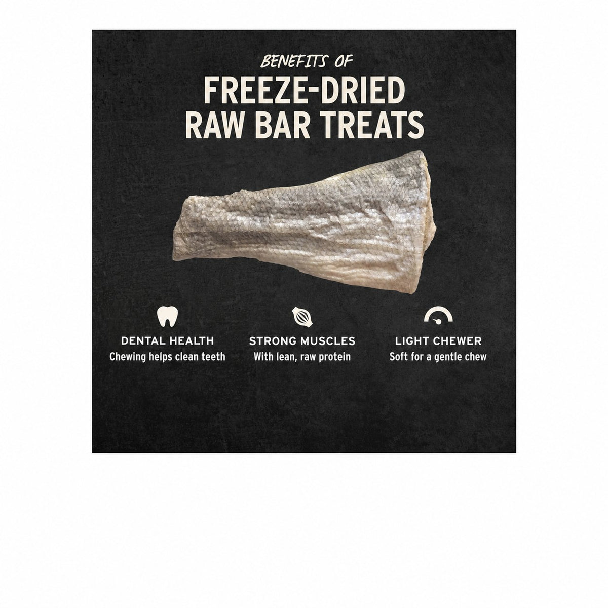 Vital Essentials Raw Bar Silver Carp Filet