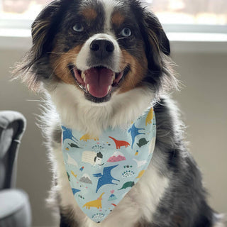 Bibby Bubby Bandana - Blue Dinosaurs