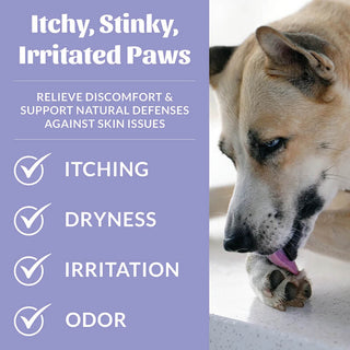 Skout's Honor Probiotic Paw Spray