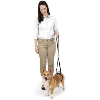 Petsafe Carelift Rear Support Harness