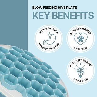 Trixie Slow Feeding Hive Plate