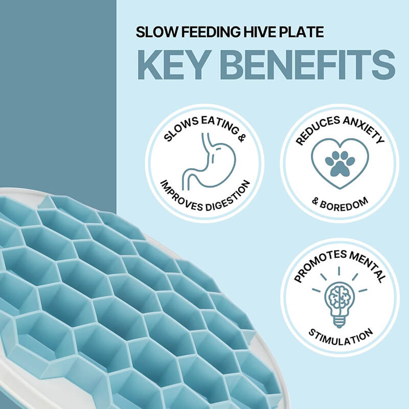 Trixie Slow Feeding Hive Plate