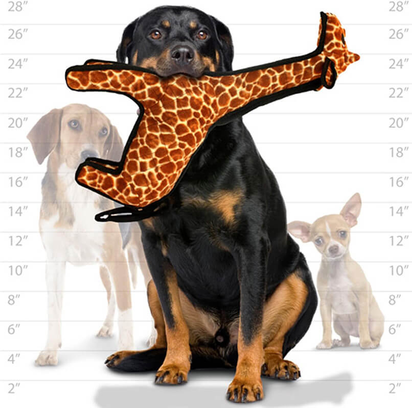 Tuffy® Zoo Giraffe