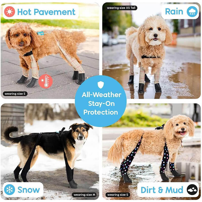 Walkee Paws Deluxe Easy-On Boot Leggings