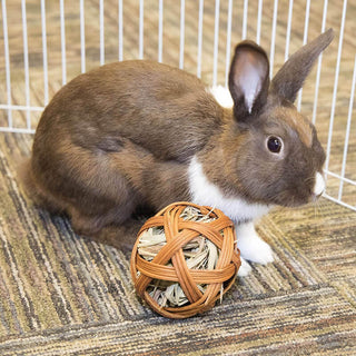 Ware Edible Treat Ball