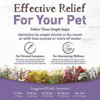 Earth Animal No More Runs Herbal Remedy