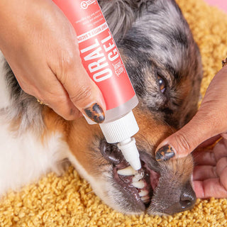 Skout's Honor Brushless Oral Care Gel Peanut Butter & Bacon