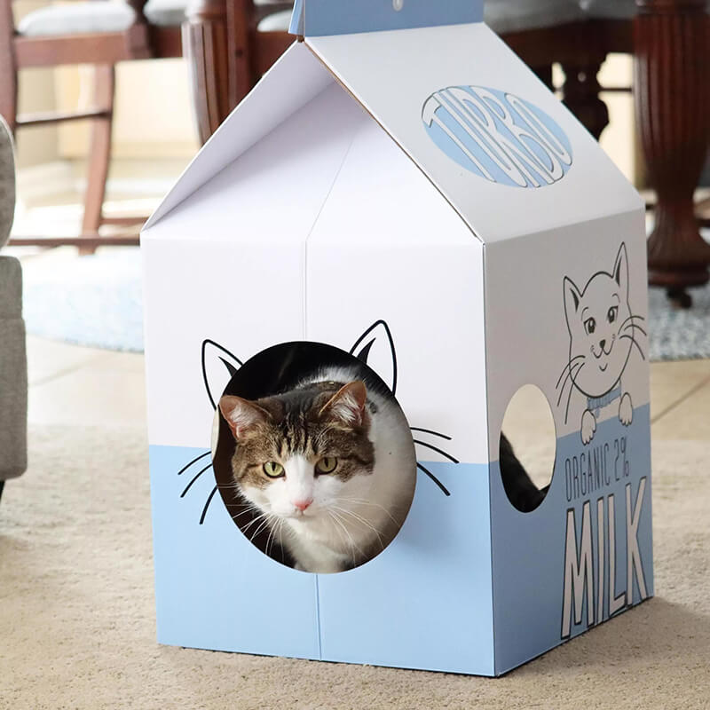 Turbo Milk Carton Cat Scratcher