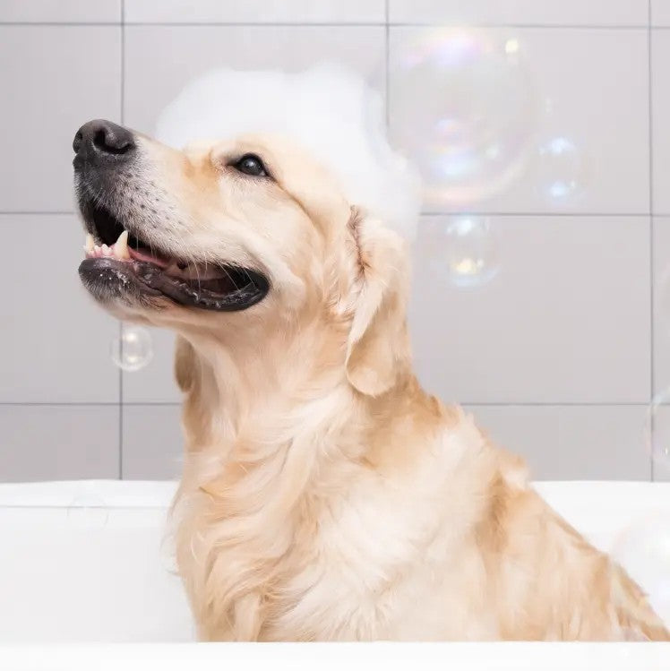 Wee Away Skunk Odor Eliminator