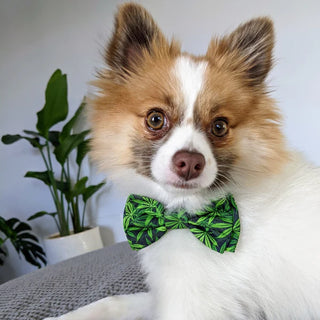 Huxley & Kent Bow Tie Weed
