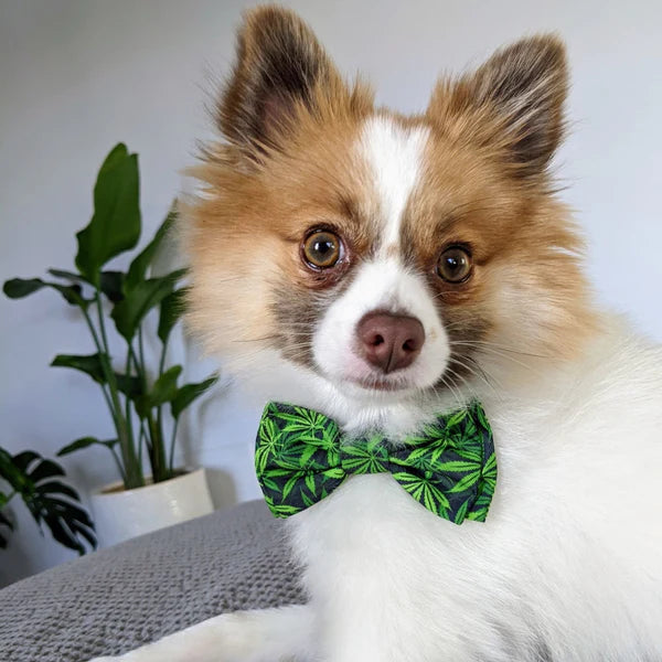 Huxley & Kent Bow Tie Weed