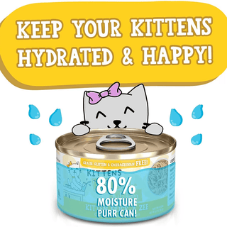 Weruva CITK Kitten Frick A Zee