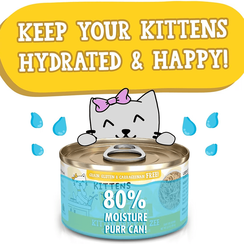 Weruva CITK Kitten Frick A Zee