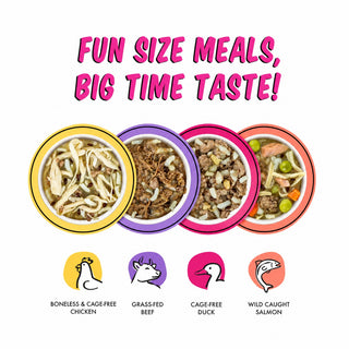 Weruva BFF Fun Size Meals! Sampler Variety Pack