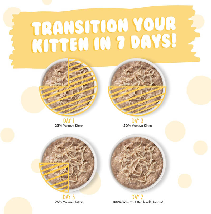 Weruva Kitten Shredded Chicken Au Jus
