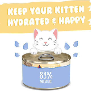 Weruva Kitten Shredded Chicken Au Jus