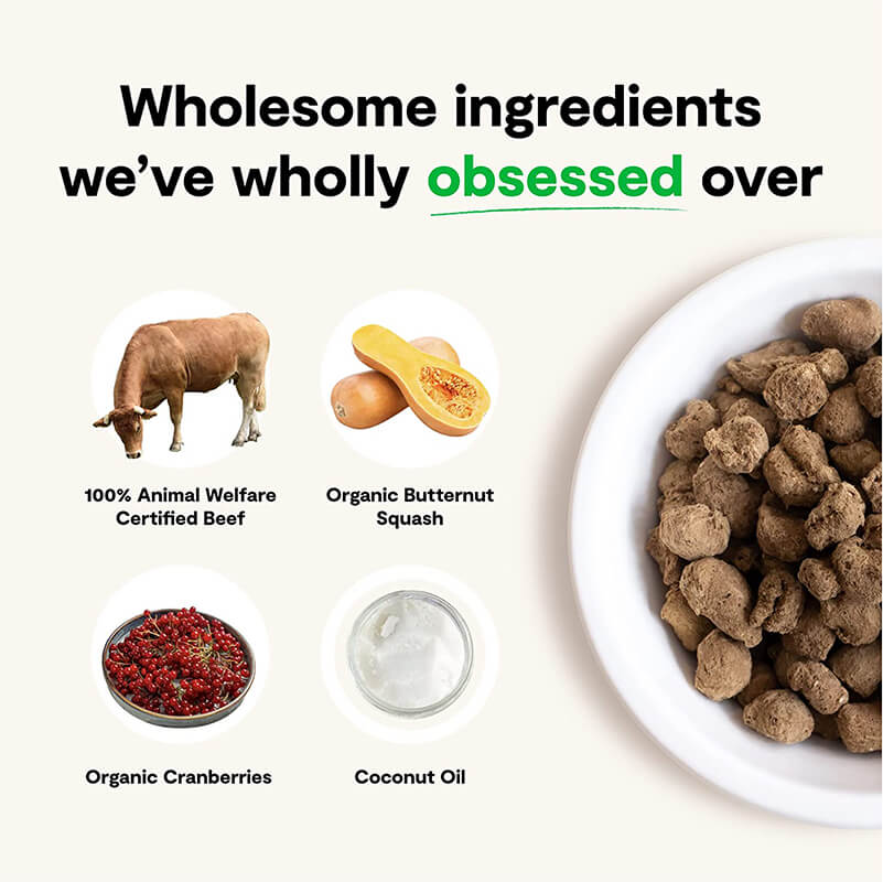 Open Farm Freeze Dried Raw Patties Grass-Fed Beef