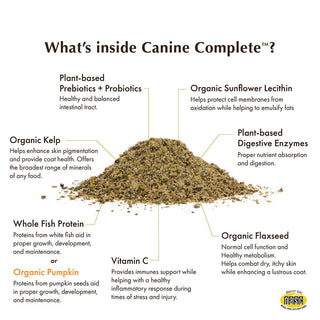 Wholistic Pet Organics Canine Complete Pumpkin