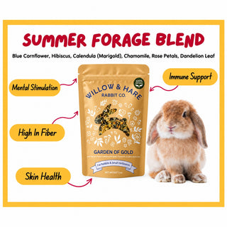 Willow and Hare Co. Garden of Gold Forage Blend