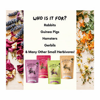Willow and Hare Co. Garden of Gold Forage Blend