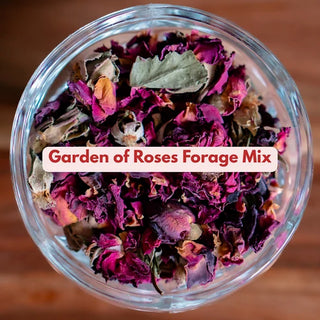 Willow and Hare Co. Garden of Roses Forage Blend