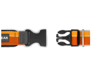 Ruffwear Roamer Leash