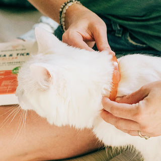 Wondercide Flea & Tick Collar For Cats