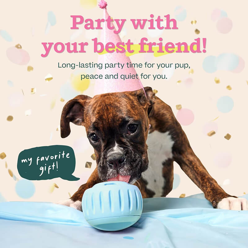 Woof Birthday Pupsicle Blue