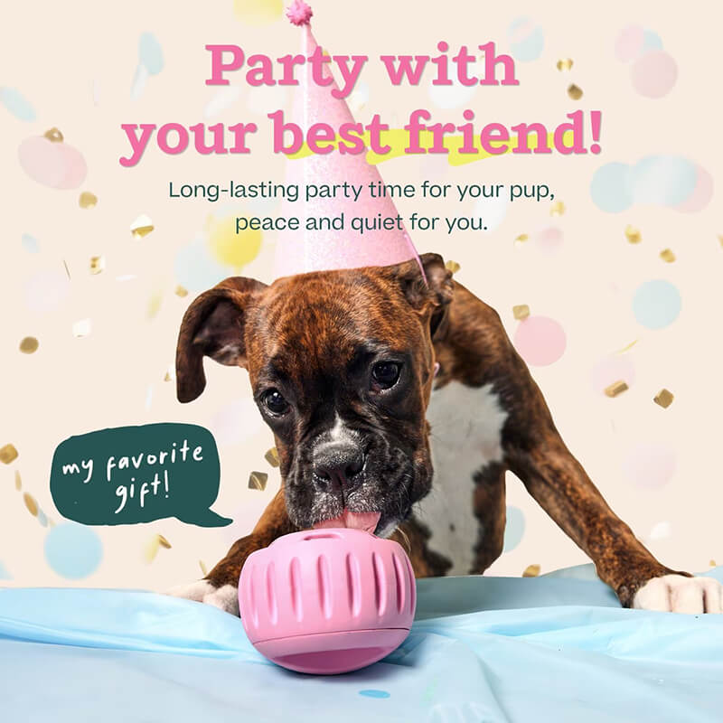 Woof Birthday Pupsicle Pink