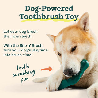 Woof Bite N' Brush