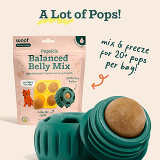 Woof Pupsicle Mix Balanced Belly