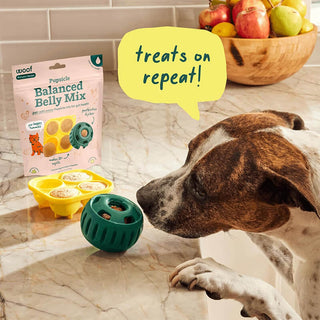 Woof Pupsicle Mix Balanced Belly