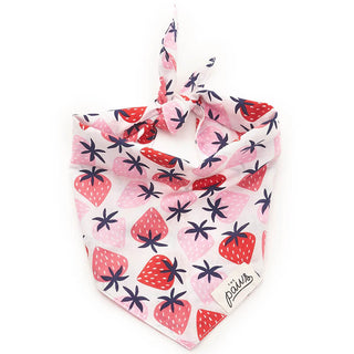 The Paws Bandana - Fresh As