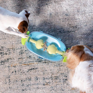 Outward Hound Nina Ottosson Paw N' Play