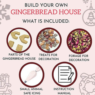 No Furries Delights Small Animal Gingerbread House Kit