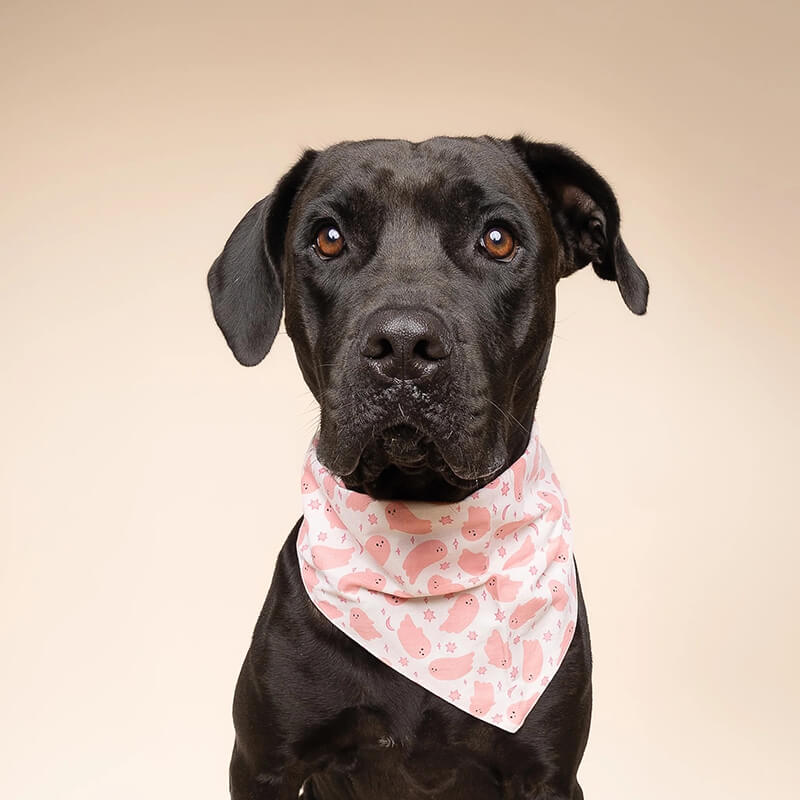 The Paws Bandana - Halloween Boo Pink