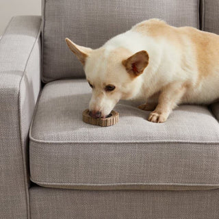 Petstages Dogwood Ring