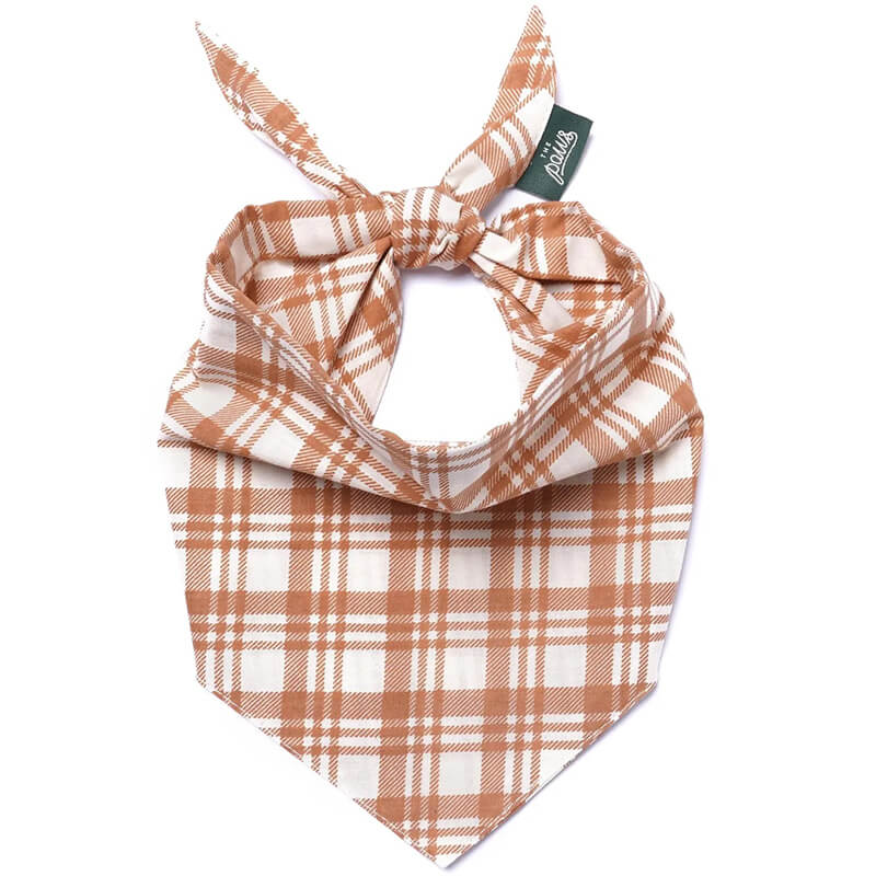 The Paws Bandana - Ginger Plaid