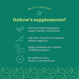Oxbow Digestive Support Supplement