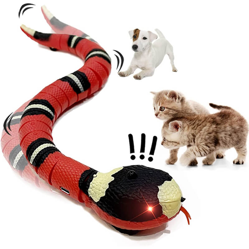 Spot Wigglin' Snake Electronic Cat Toy