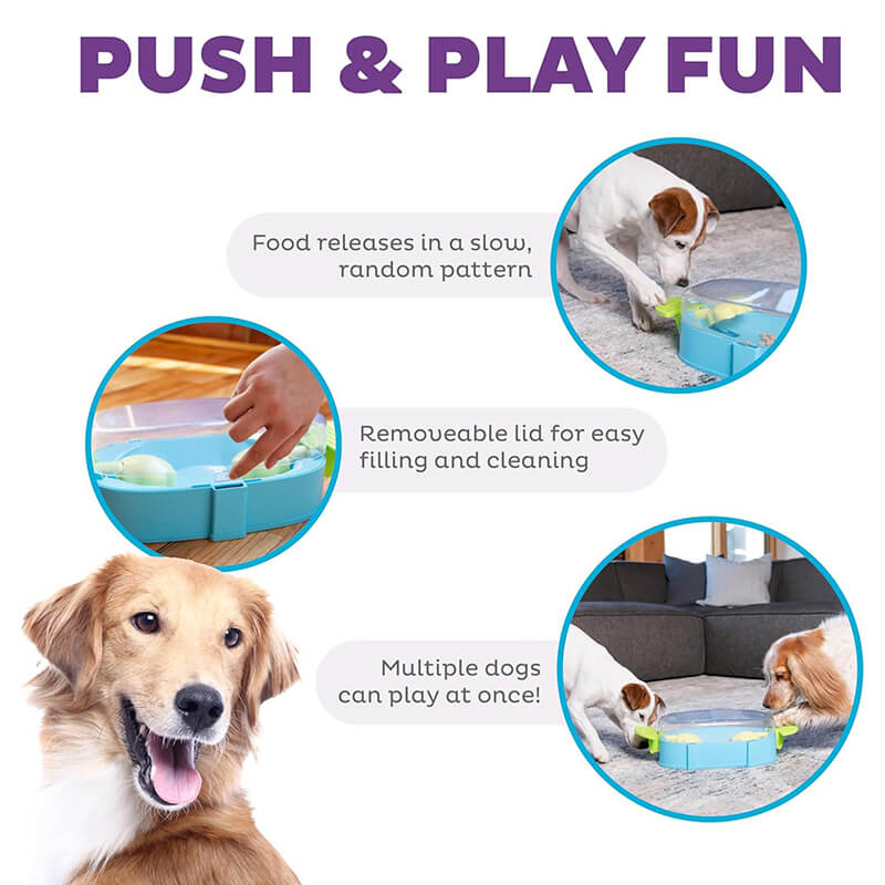 Outward Hound Nina Ottosson Paw N' Play