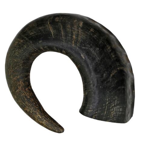 Wild Eats Water Buffalo Horn