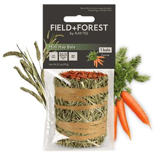 Field + Forest Mini Hay Bales