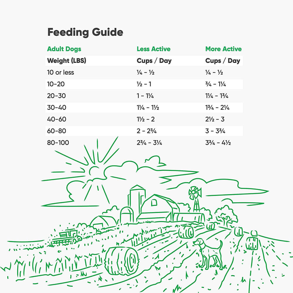 Open Farm Grain-Free Senior