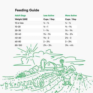 Open Farm Grain-Free Senior