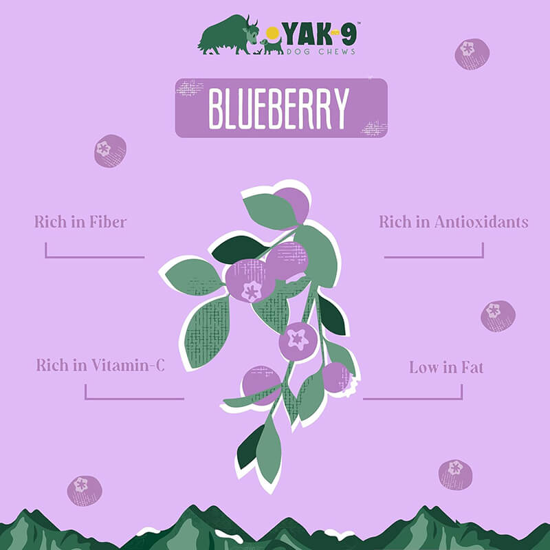 Yak9 Blueberry Cheese Chew