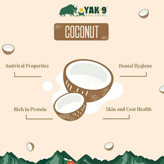 Yak9 Coconut Cheese Chew